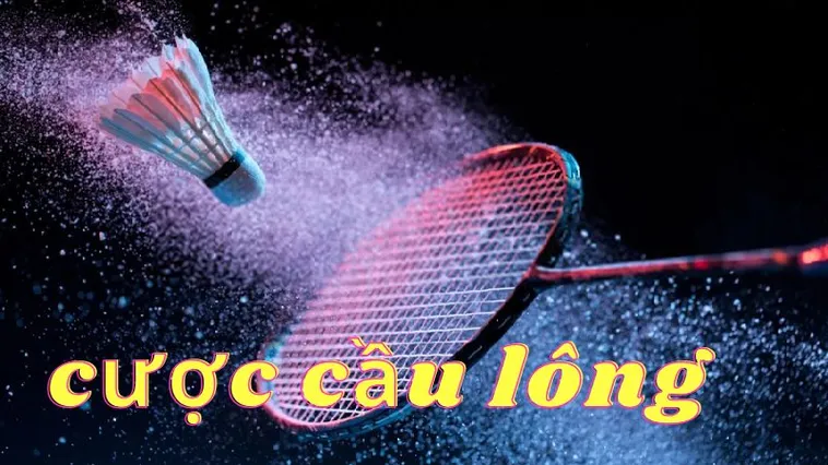 Cách Chơi Cá Cược Cầu Lông Tại 789WIN: Hướng Dẫn Chi Tiết